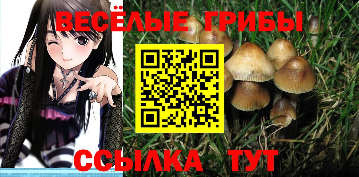 Псилоцибиновые грибы мицелий Гудермес