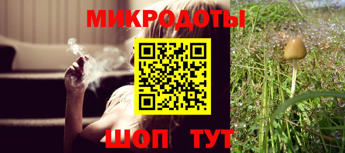 Галлюциногенные грибы Psilocybe  Вход с VPN  Гудермес 